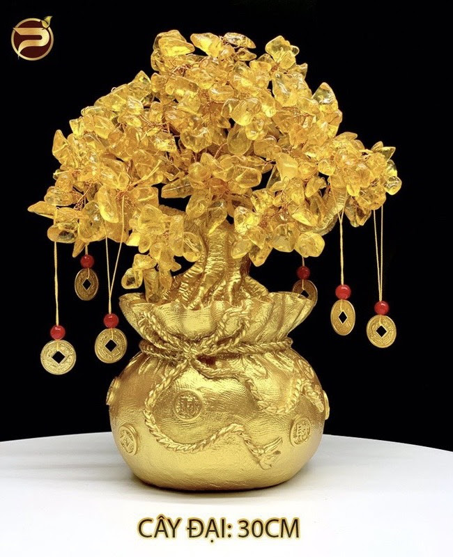 cay-phat-tai-da-thach-anh-2